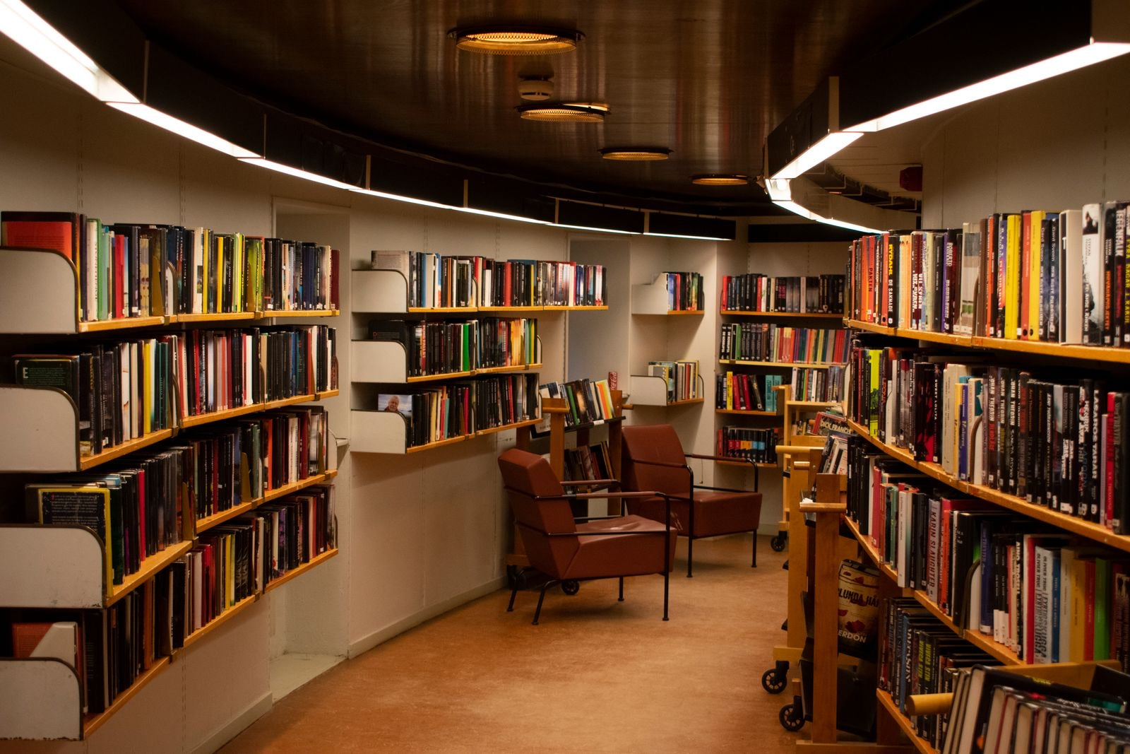 Library shelves of reference books, like the ten on the official PMP exam reference list.